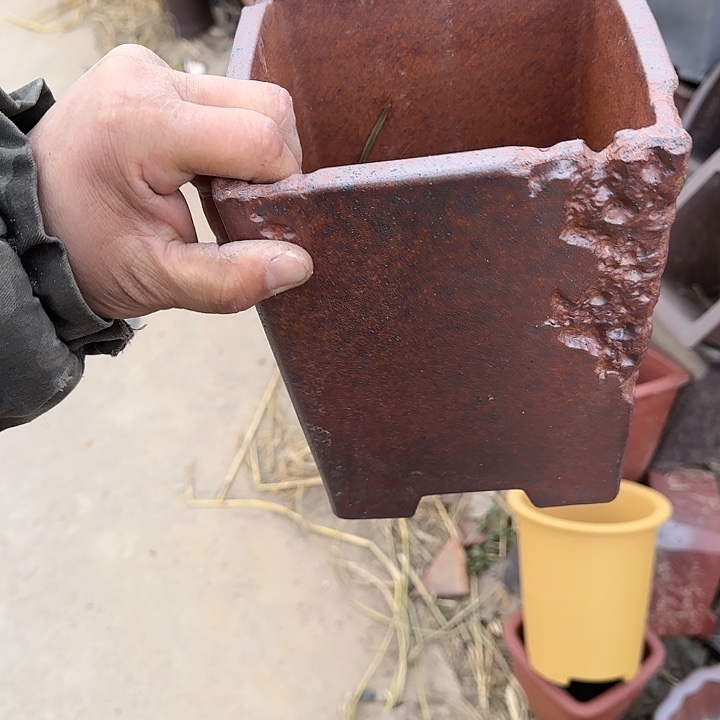 是因为她太喜欢了所以还是觉得不应该在学校看这个综艺看一会自己