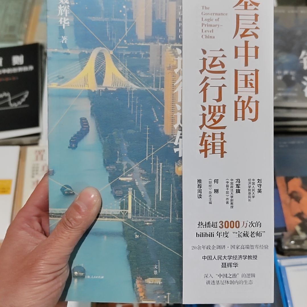 基层中国的运行逻辑