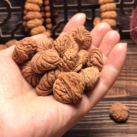 桃核手串三****术五爪金龙散籽偏脊2530