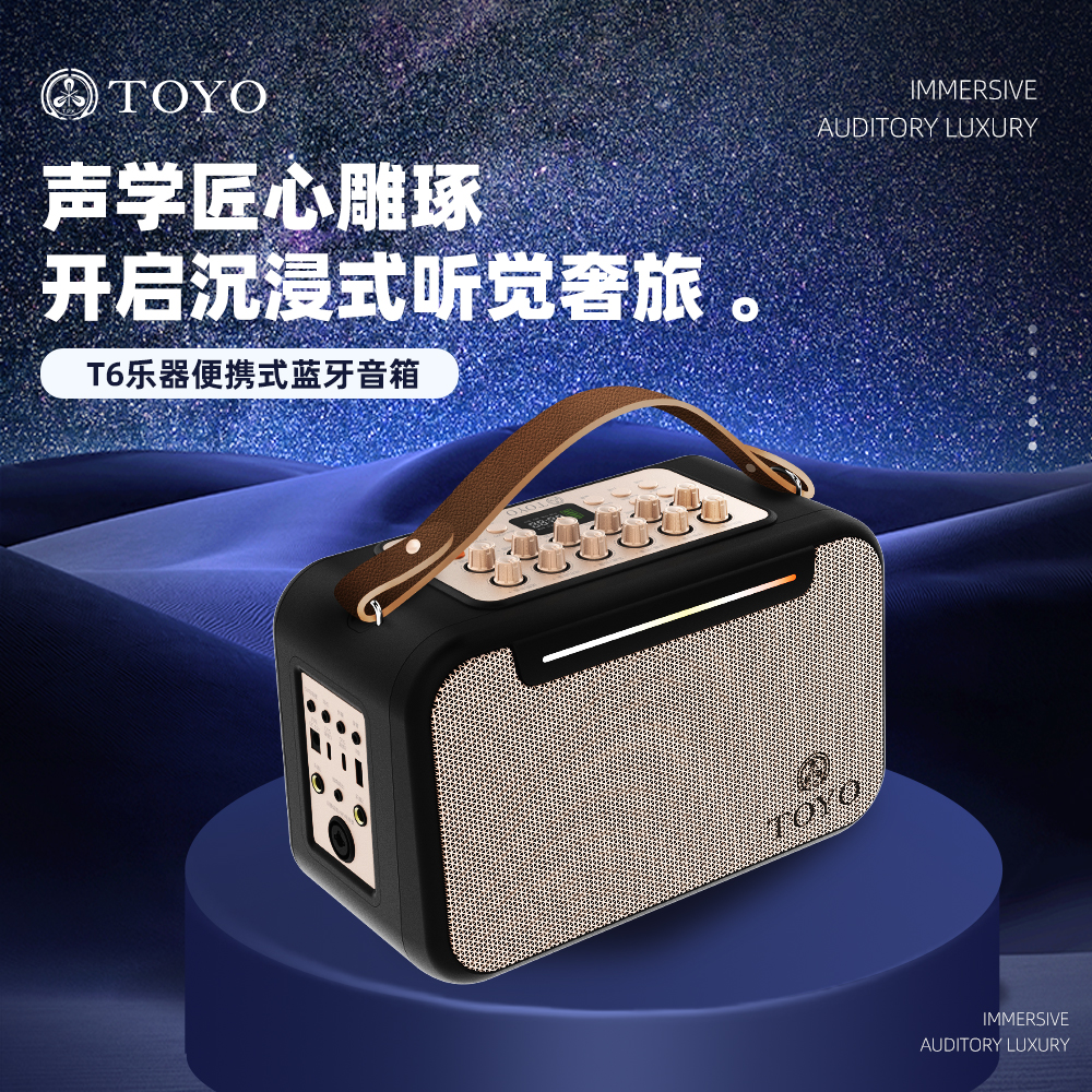 TOYO T6乐器吉他音响弹唱电吹管萨克斯蓝牙直播内录便携k歌音箱