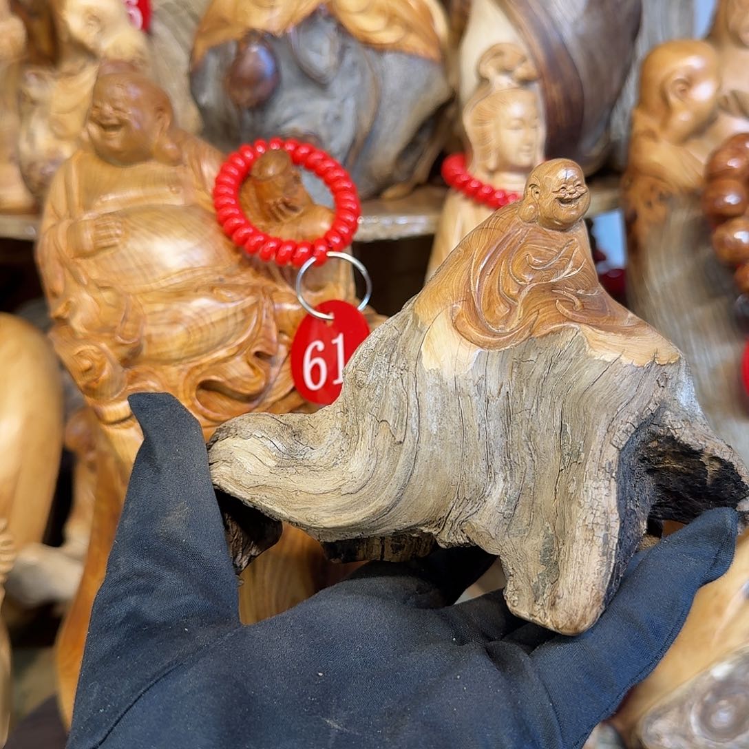 柏木（崖柏）66666666666