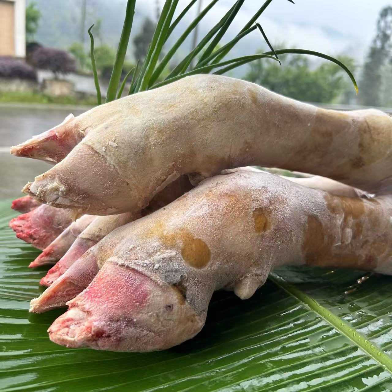 现称 现拍 默认砍小 牛蹄烧好毛一对起拍