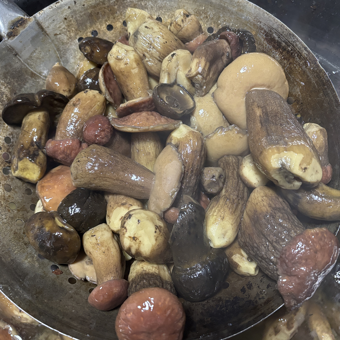 万源高山大脚菇（菌子带盐份需泡水2小时候在清洗食用）