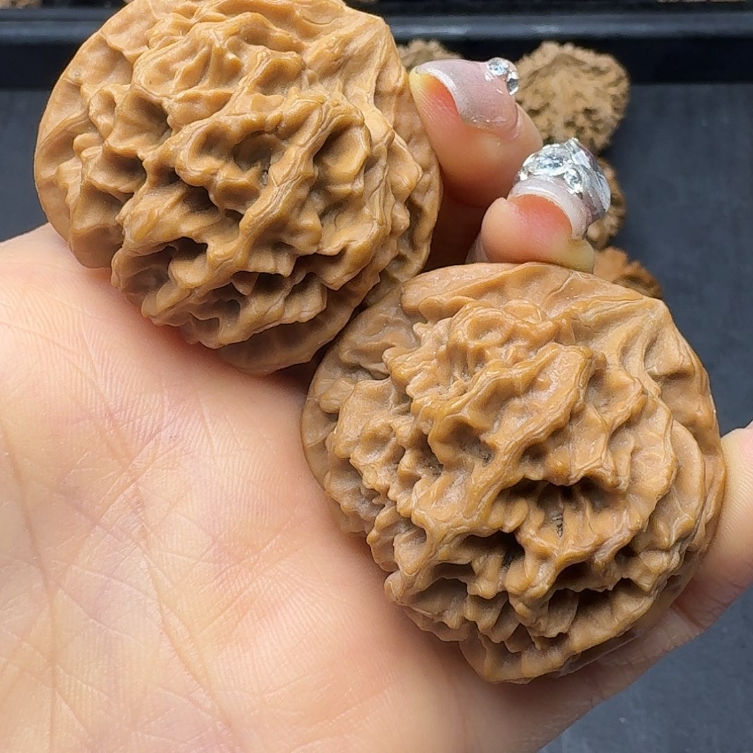 桃木突突突突突突突突