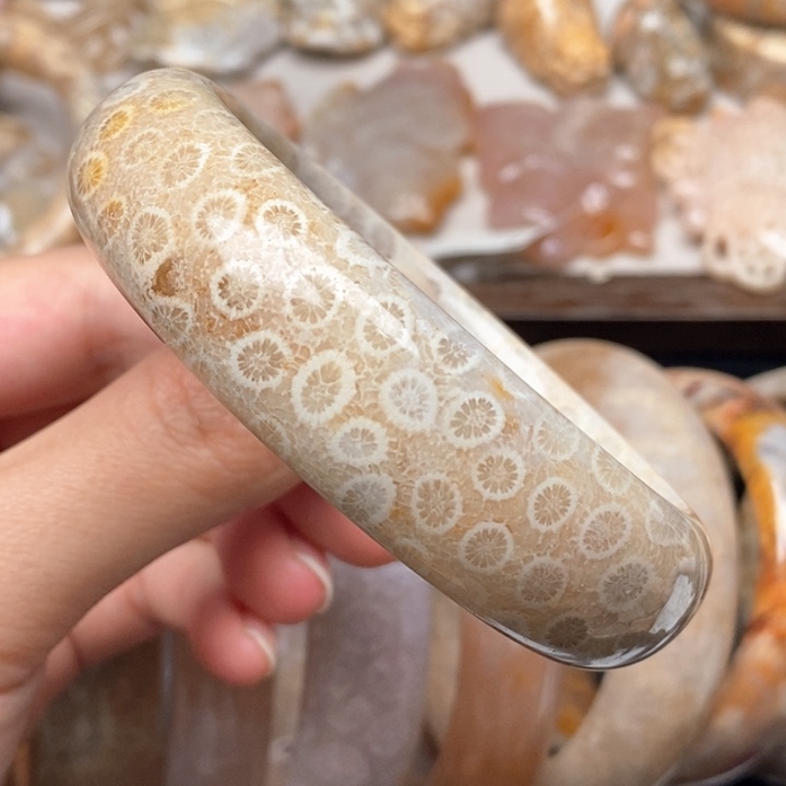 硅化珊瑚（珊瑚玉）手镯未镶嵌59