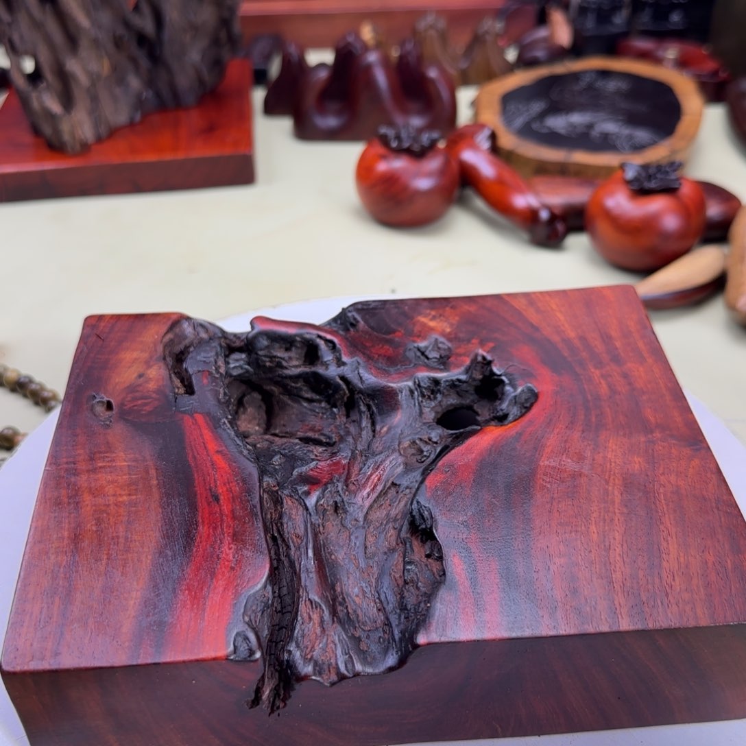 大果紫檀（缅甸花梨）共*海