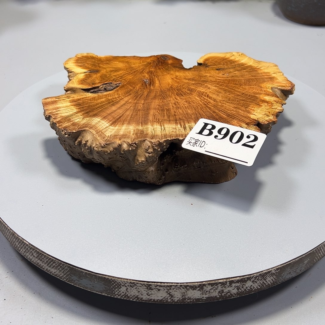 大果紫檀（缅甸花梨）惠**畅