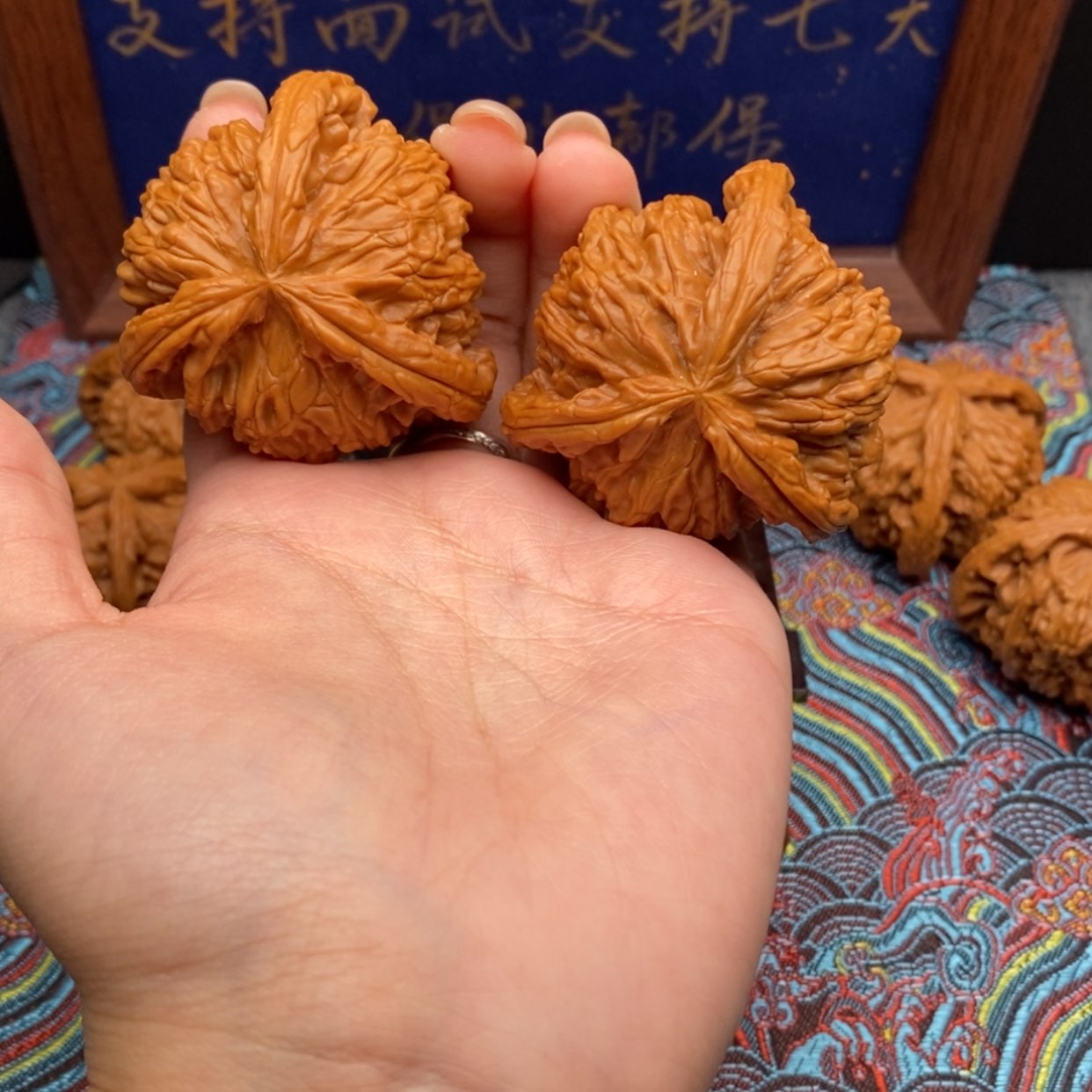 【闪购商品】吉****白狮