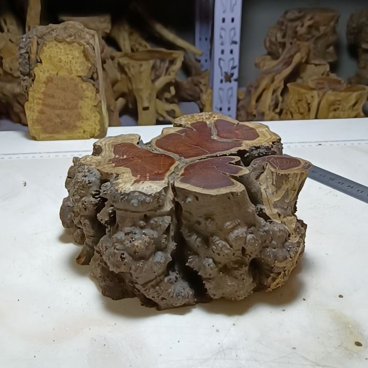 风车木（黑檀木）麻梨疙瘩底座