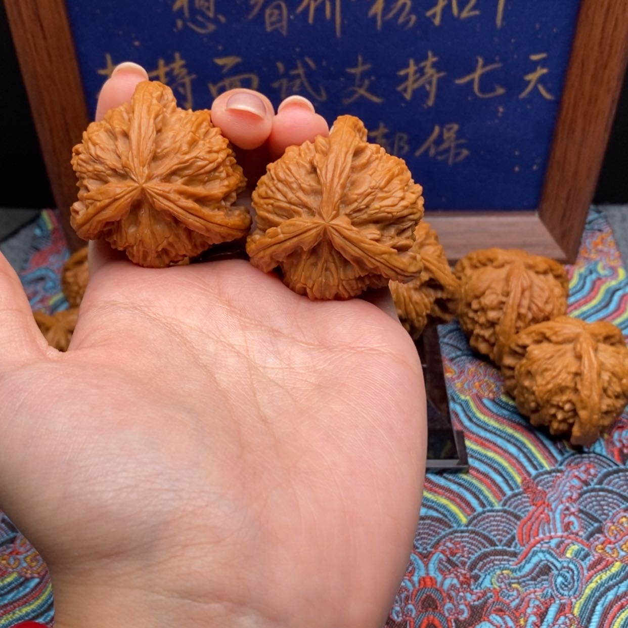 【闪购商品】青*线白狮