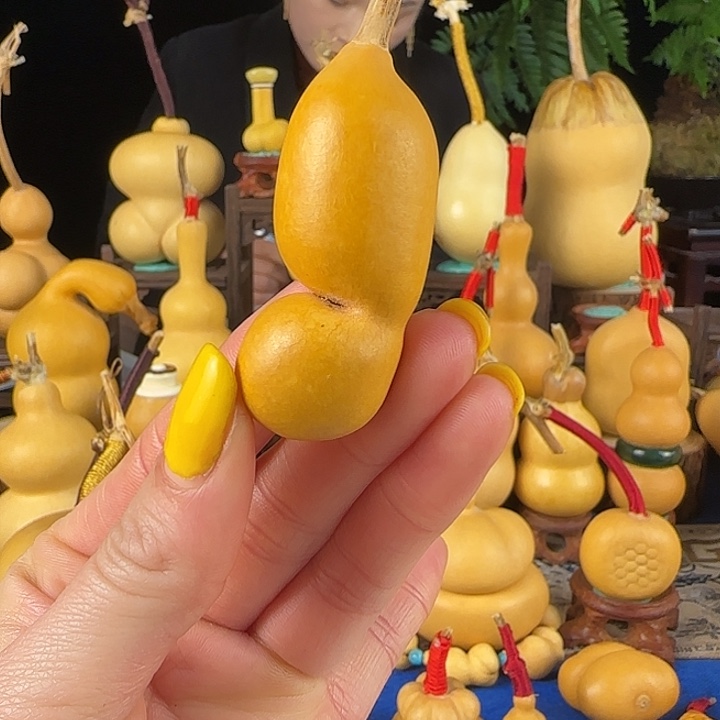 T****大叶紫檀（黑酸枝木类）