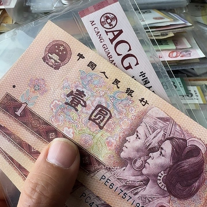 流通9亲金龙王…………