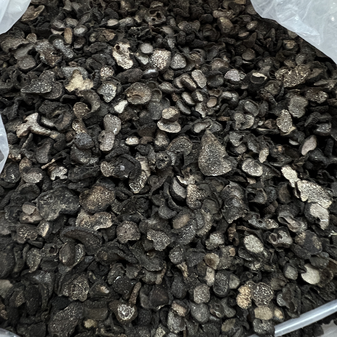 黑松露干片（云南猪拱菌）小片