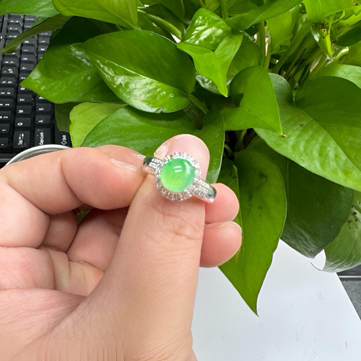 天然缅甸翡翠A货蛋面103