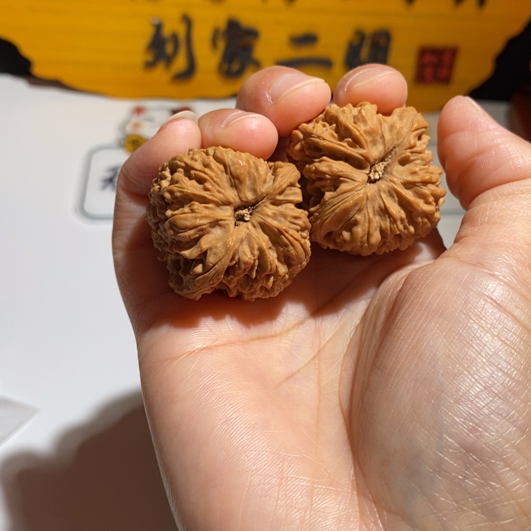 知***ū大叶紫檀（黑酸枝木类）