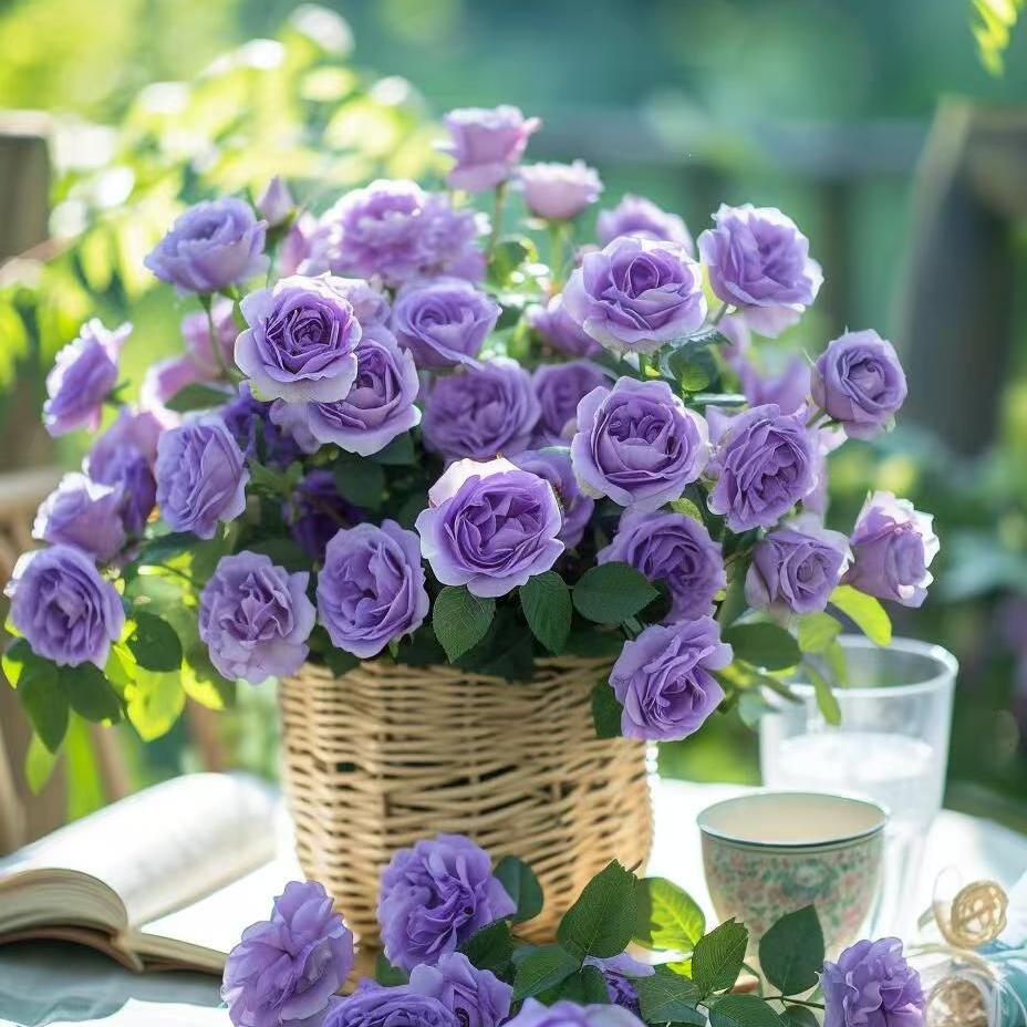 【不指定品种】云南鲜花新鲜优质鲜花