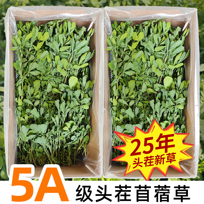 2025头茬苜蓿草兔草食用草龙猫粮草荷兰猪牧草新草苜宿草新鲜净重