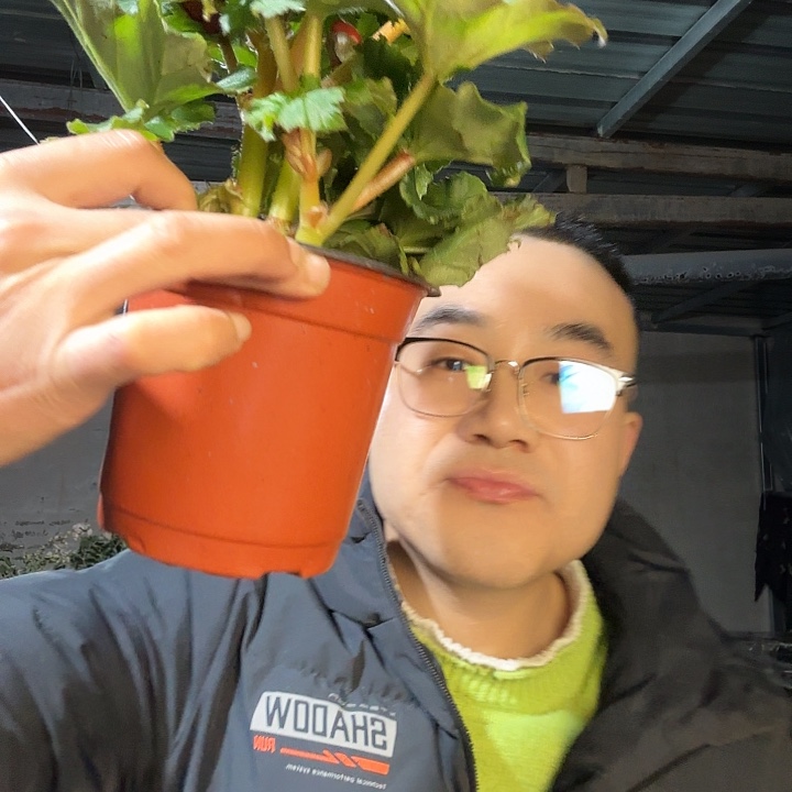 用***7完全开放轻微瑕疵红色➕保温