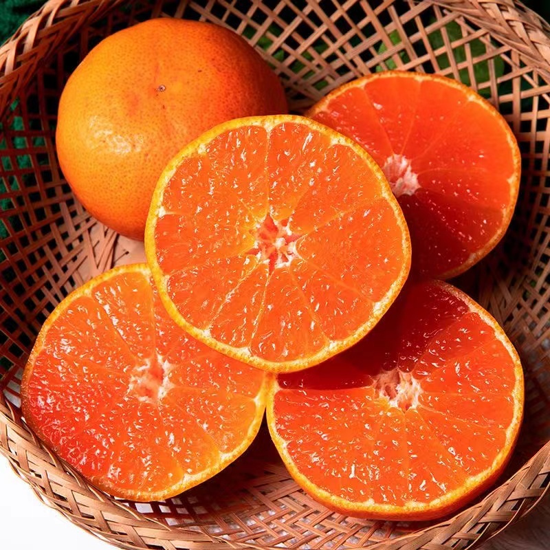 十斤装【顺丰次日达】浙江临海涌泉蜜桔新鲜现摘现发原产地无核无渣不打蜡礼盒浙江省