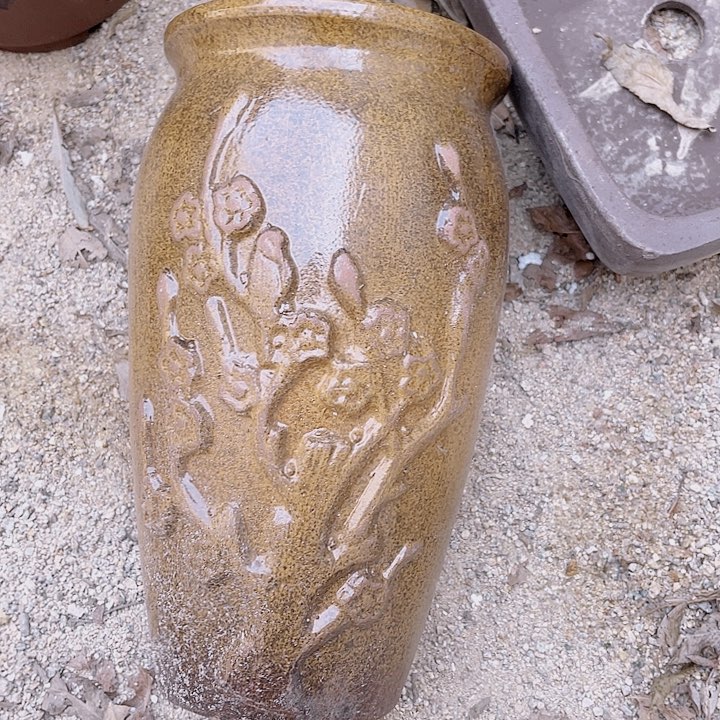 紫砂花铺上看个广告a11