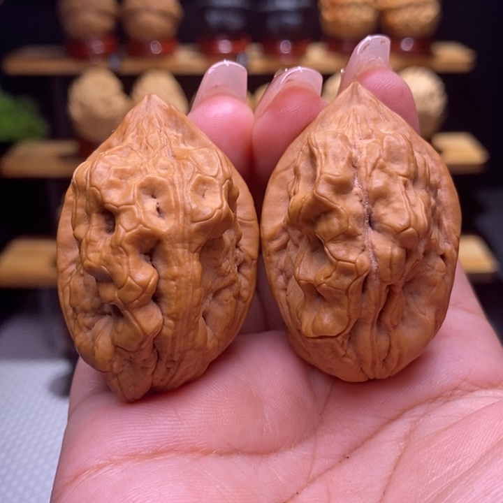 木质类云铁毒蝎子3539尺