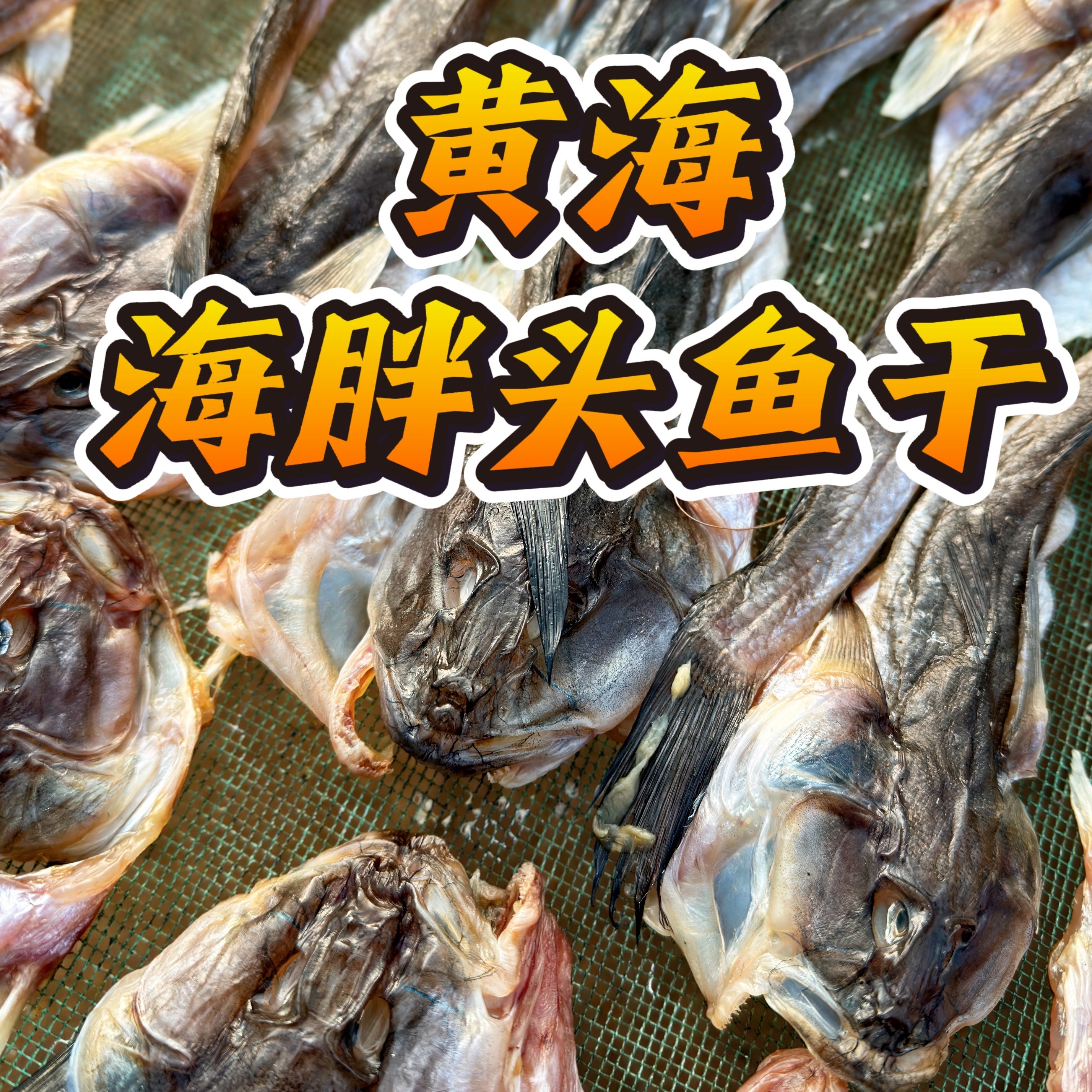 丹东东港黄海胖头鱼干、七成干、淡盐晾晒、油炸清蒸皆可【顺丰包邮】