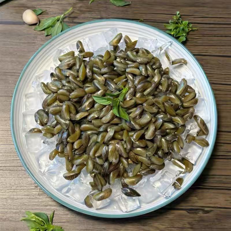 福建潮汕新鲜海瓜子薄壳米鲜活海鲜现捕发货送金不换