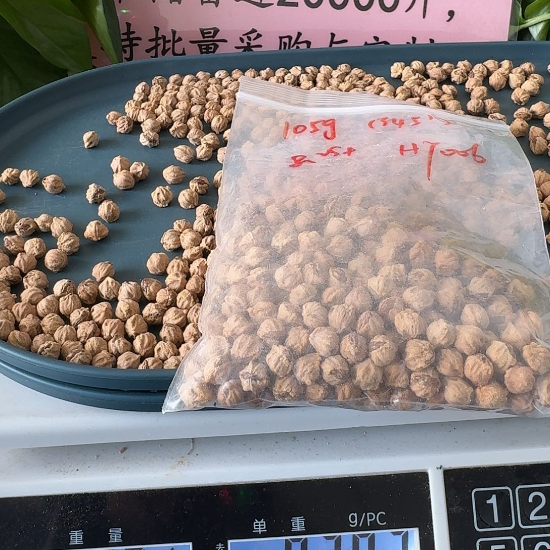 爷***们吊坠柏香籽/百香籽105克8.25+HY006