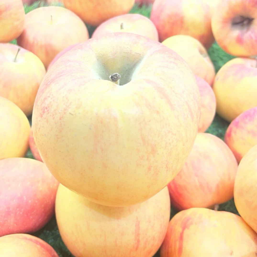 阿克苏水果2公斤新疆维吾尔自治区