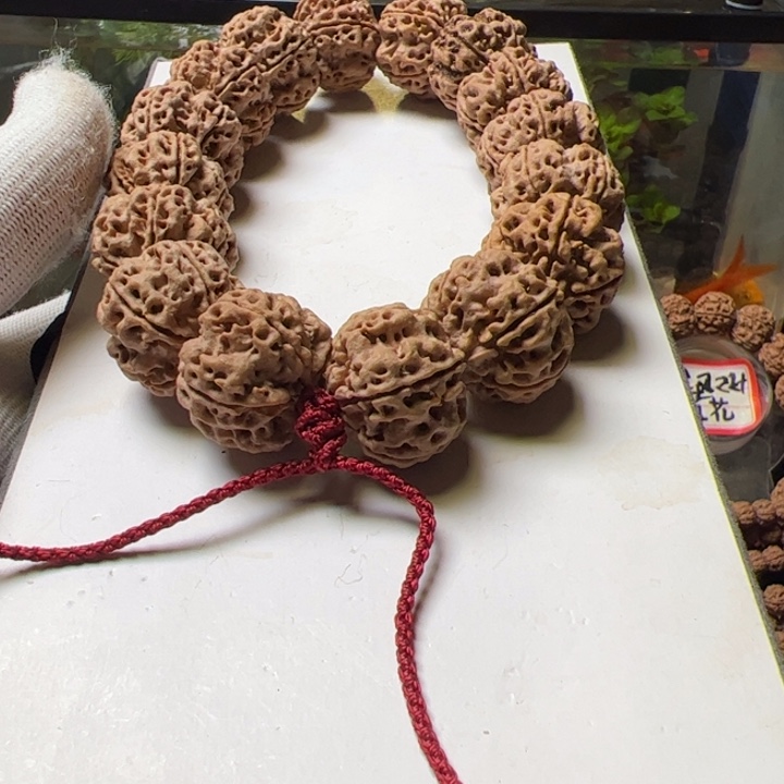 金刚菩提手串23➕平头大粗筋梅花双龙