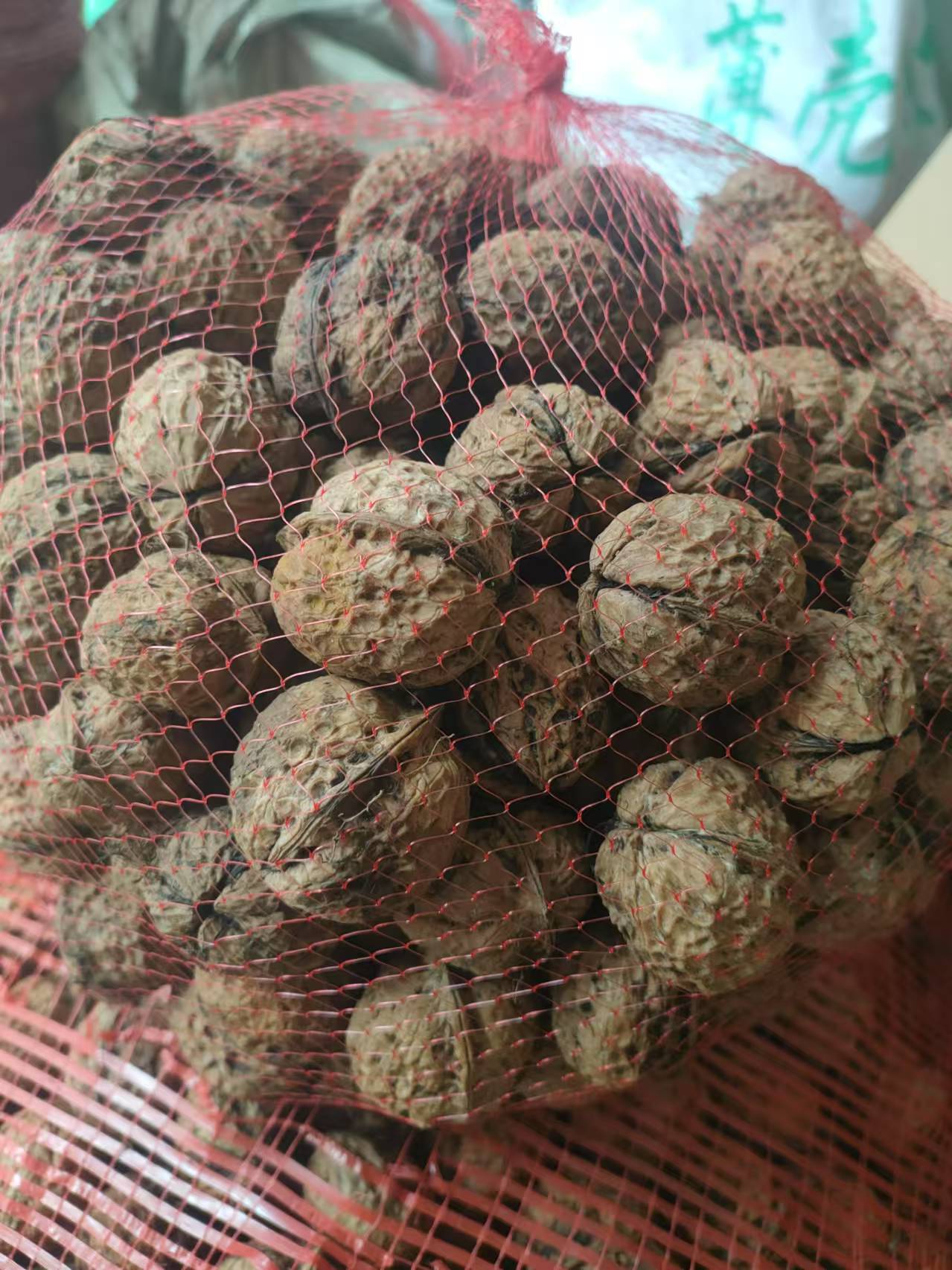 新鲜湿核桃去青皮薄皮嫩适合孕妇食用