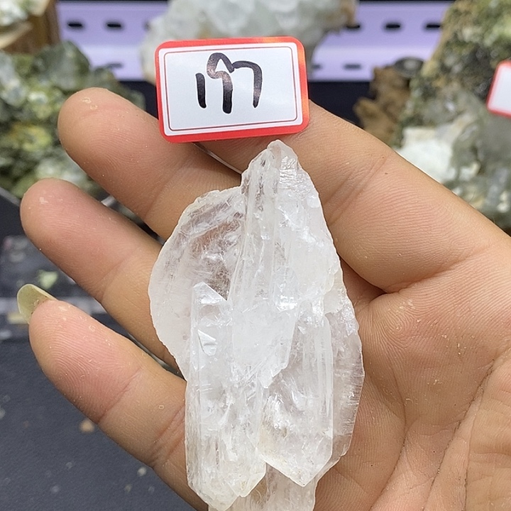 有机玻璃喜马缝合197