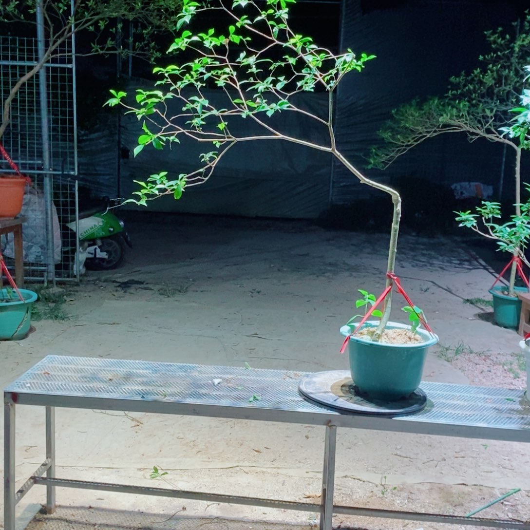 幸***生感谢您的支持和配合和关心