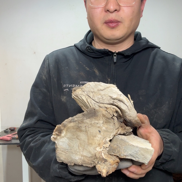 樊***强香榧木工艺品的生产