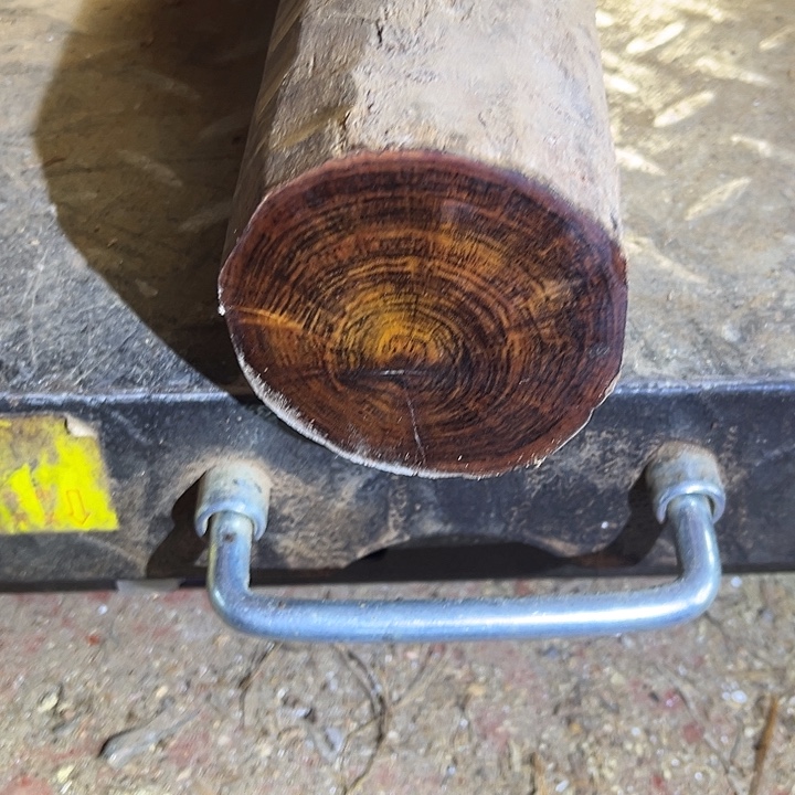 随***心香榧木贵州紫油木