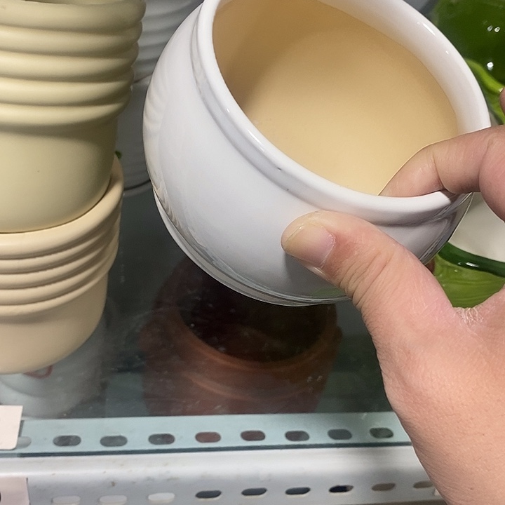 花盆抢购清货马上开始