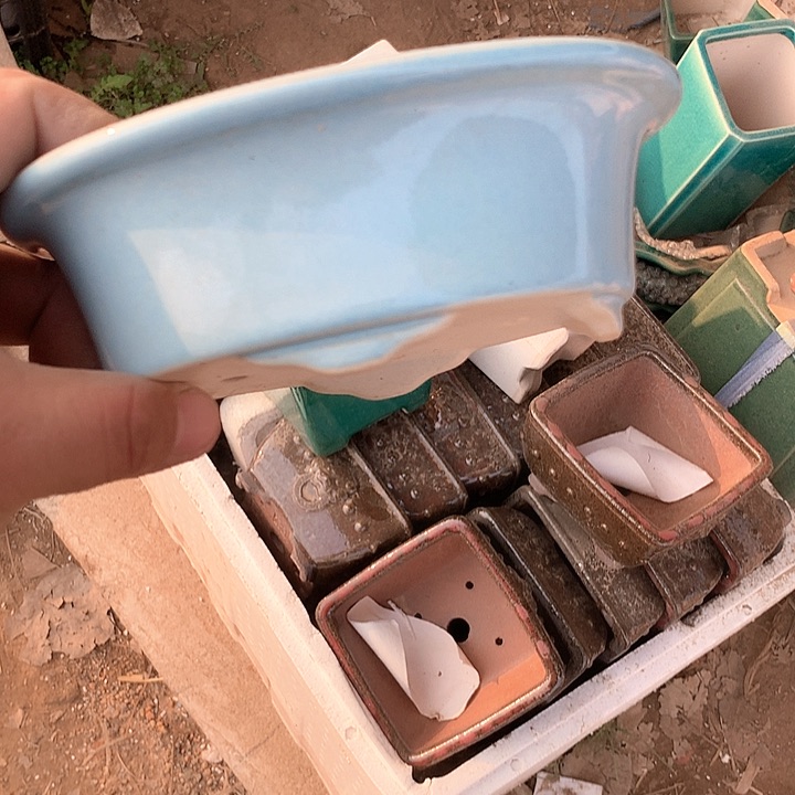 紫砂我要不要这样说