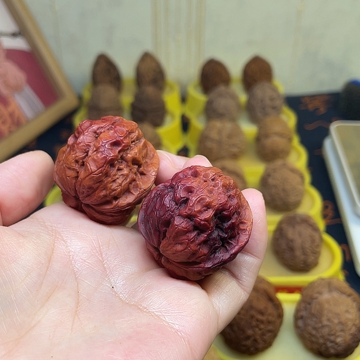 把件文玩核桃5、七彩小帝王38