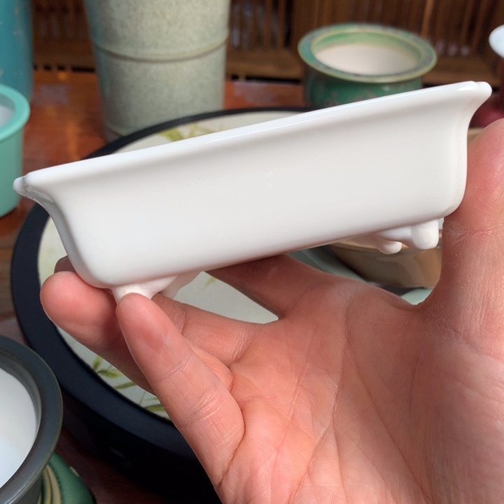 植***卓一个月没吃到的时候