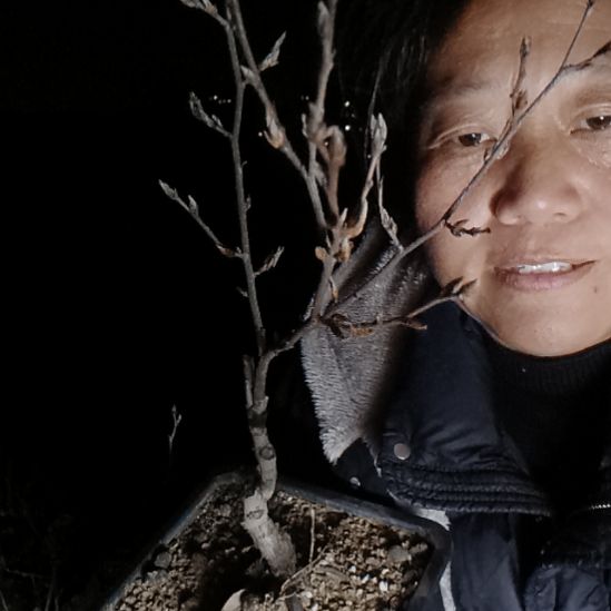 于***园无花朵425585558899