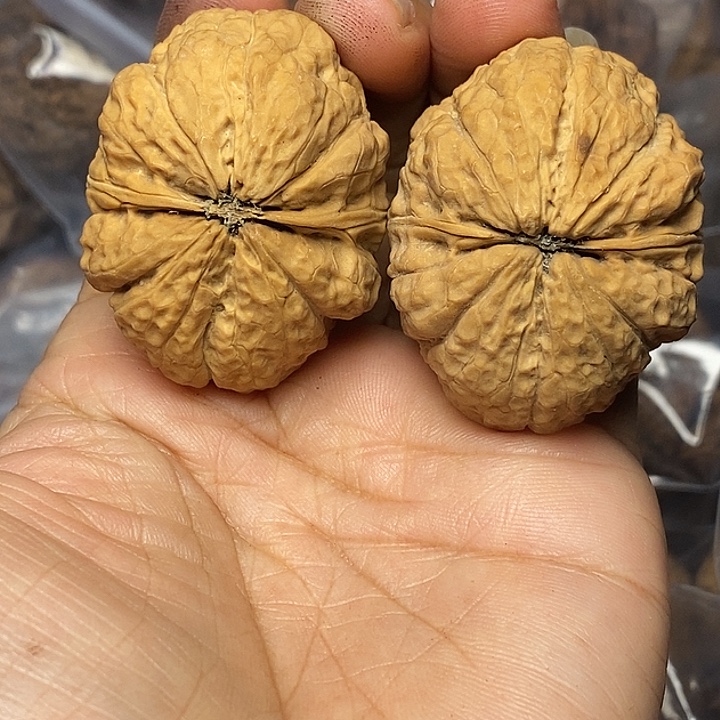 文玩核桃把件云南铁核桃88