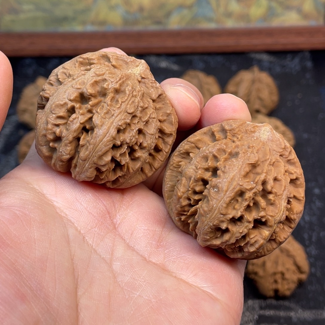 核桃8号链接888888