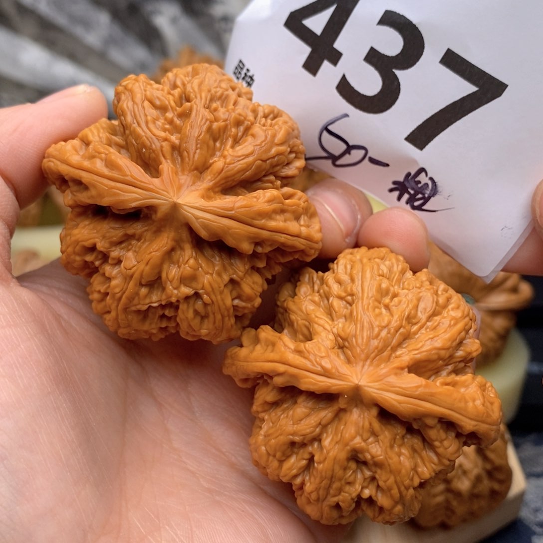 文玩核桃把件437号50棉粗筋