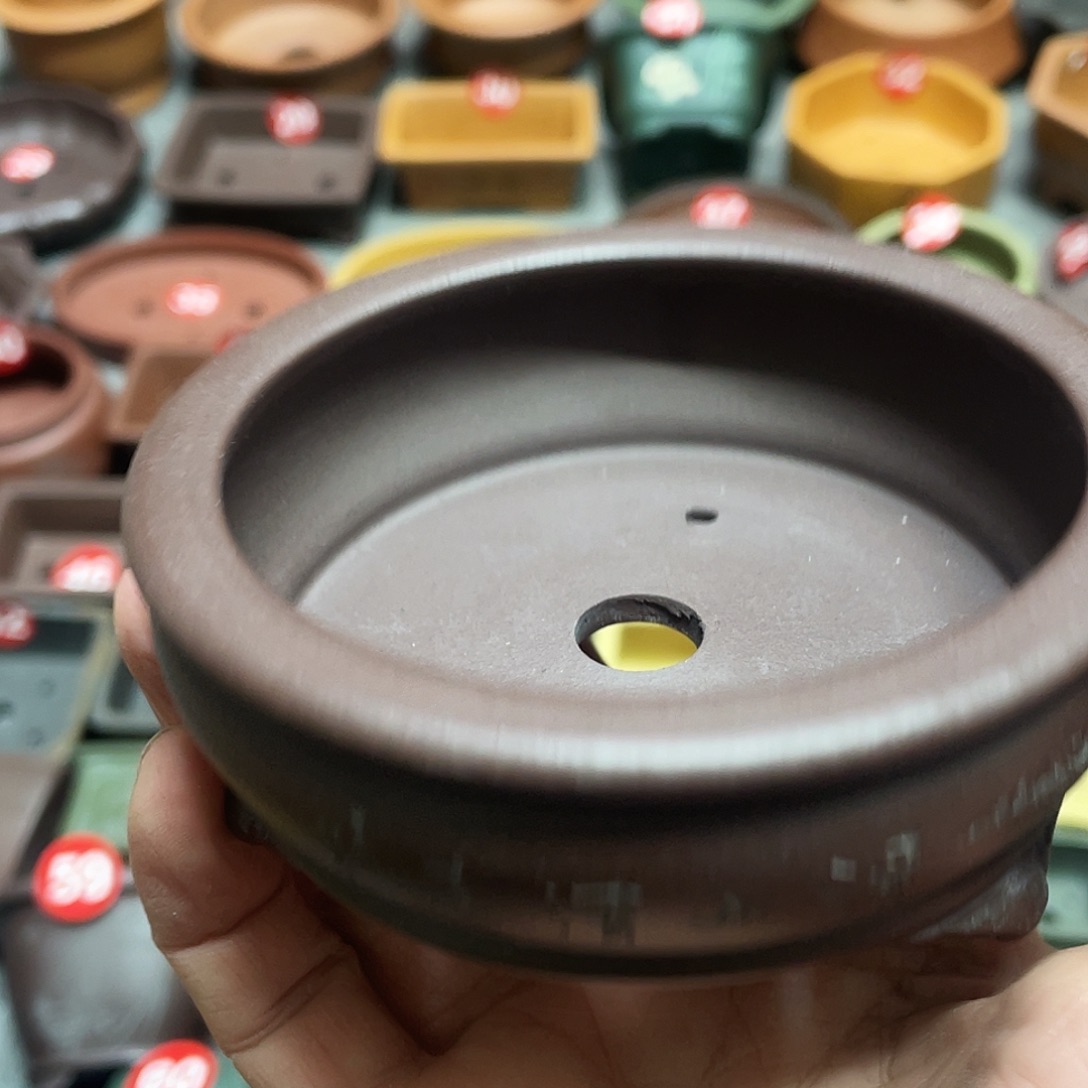 紫砂小盆8.5*2.8cmmmmm