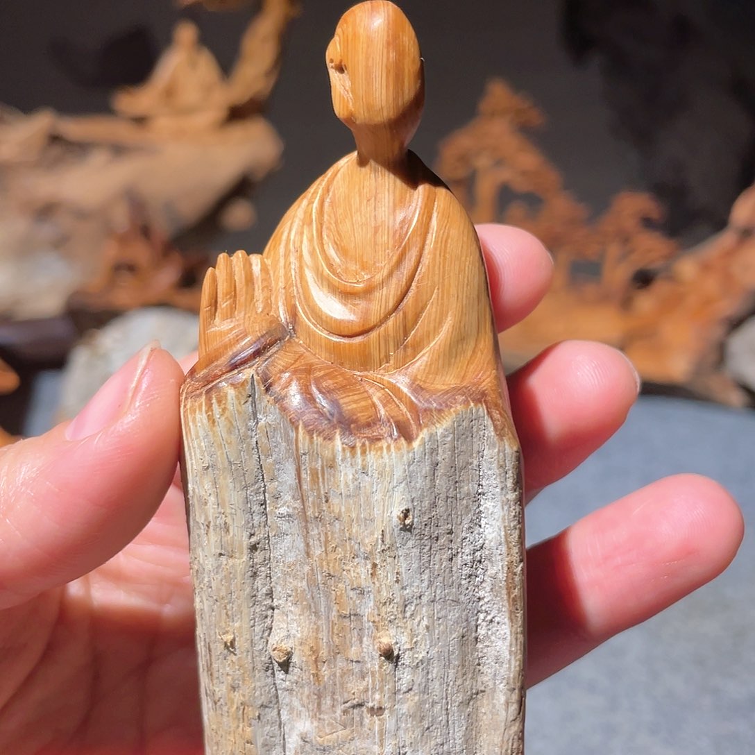 柏木（崖柏）太行崖柏