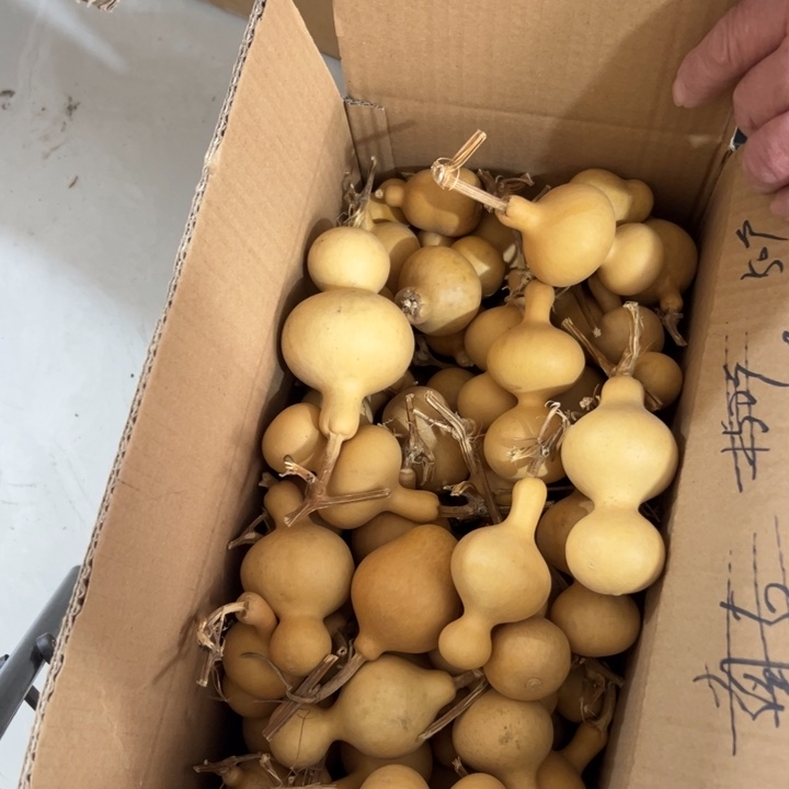 蝴***。大叶紫檀（黑酸枝木类）