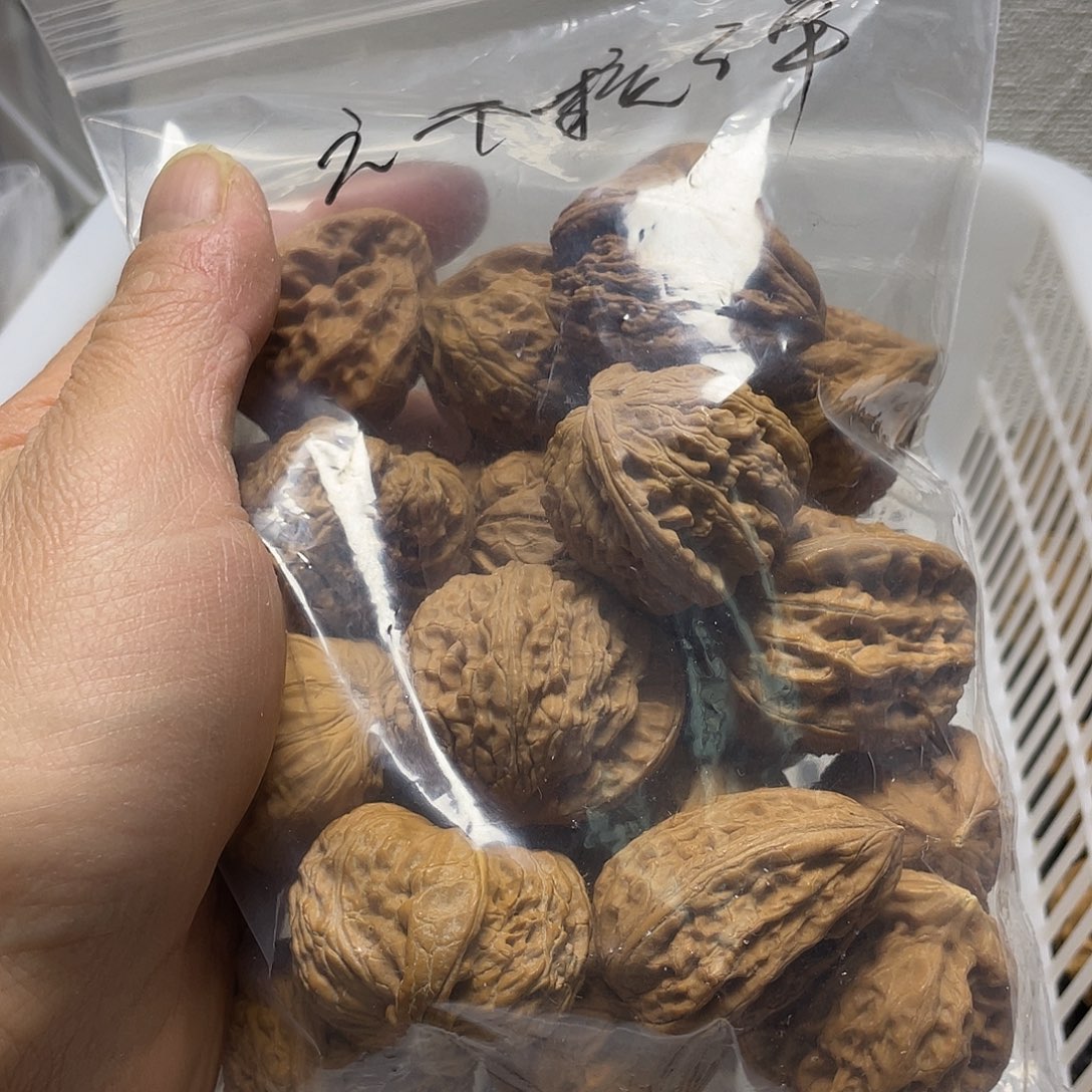 六***弹吊坠文玩核桃不退不换