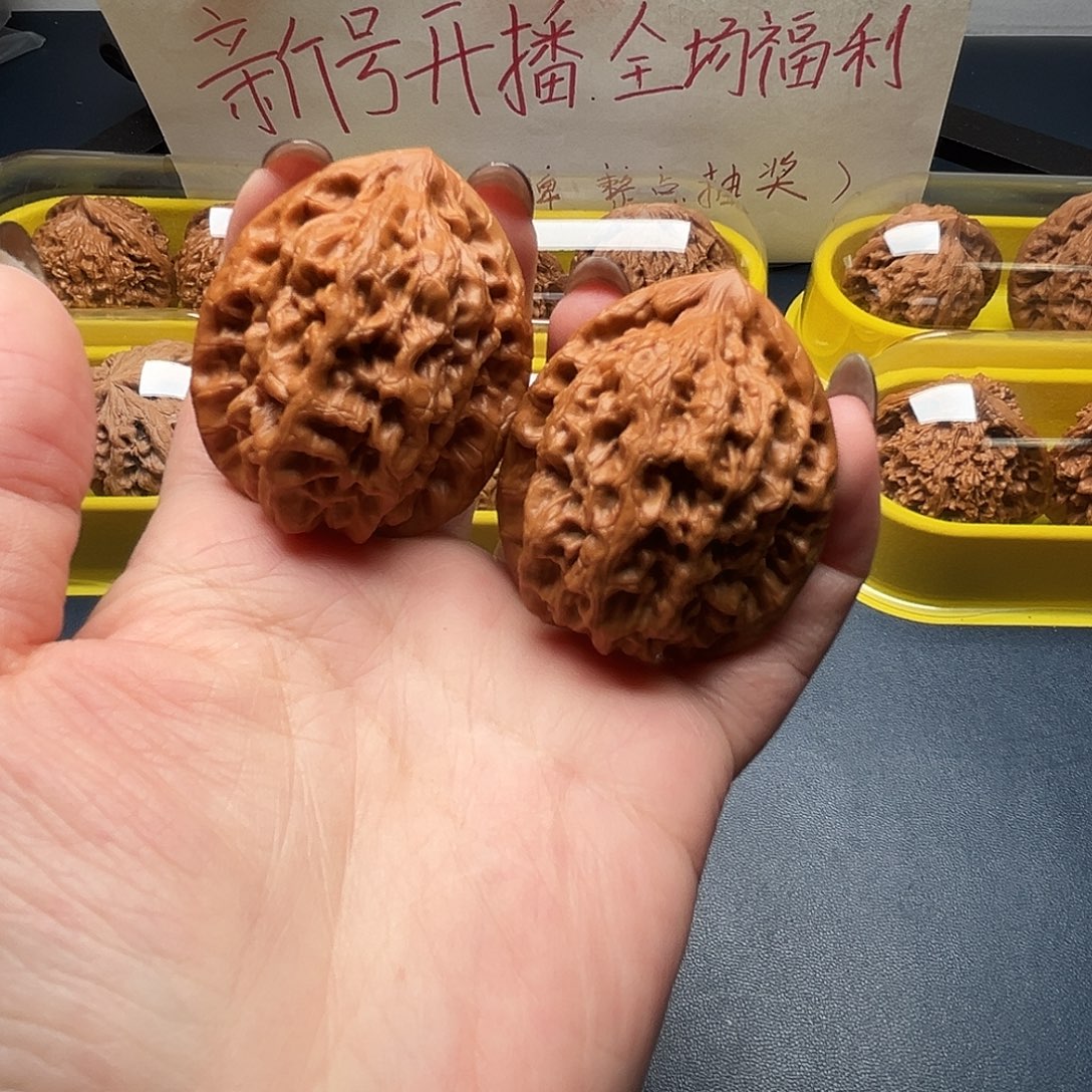 核桃40尺寸金公子
