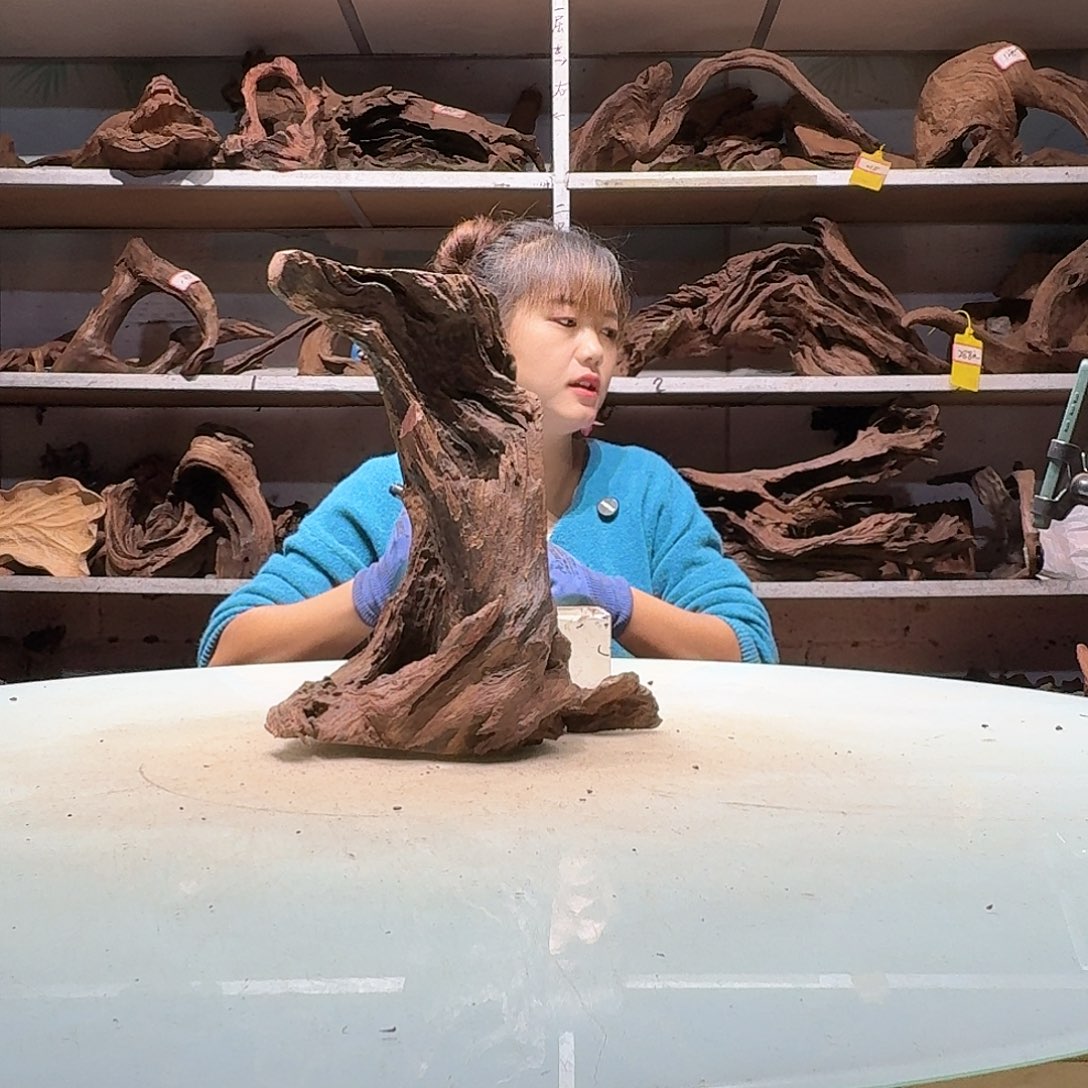 倍褚沉木不包损必褪色本*6627