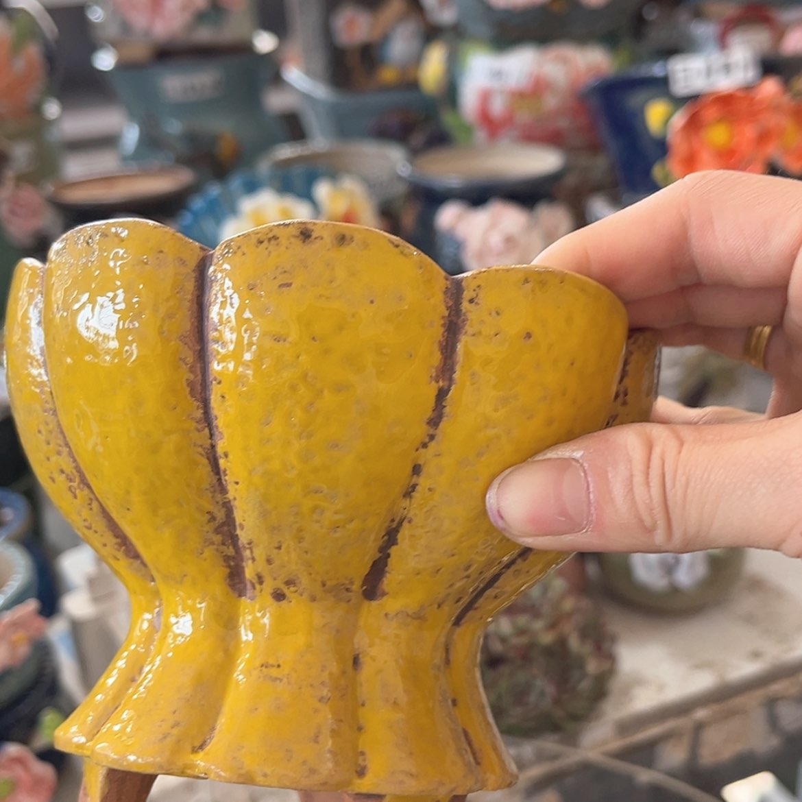 【闪购商品】红陶福利